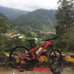 SPECIALIZED-BSBC606050239I