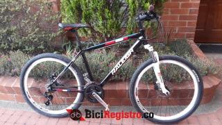 RALEIGH-GW57702114