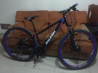 RALEIGH-9c002gw611