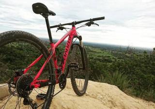 SPECIALIZED-wsbc602273y69l