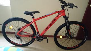 ORBEA-01150116113