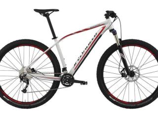 SPECIALIZED-WSBC602286371L